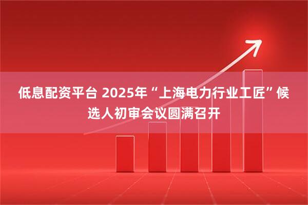 低息配资平台 2025年“上海电力行业工匠”候选人初审会议圆满召开